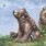 kuma